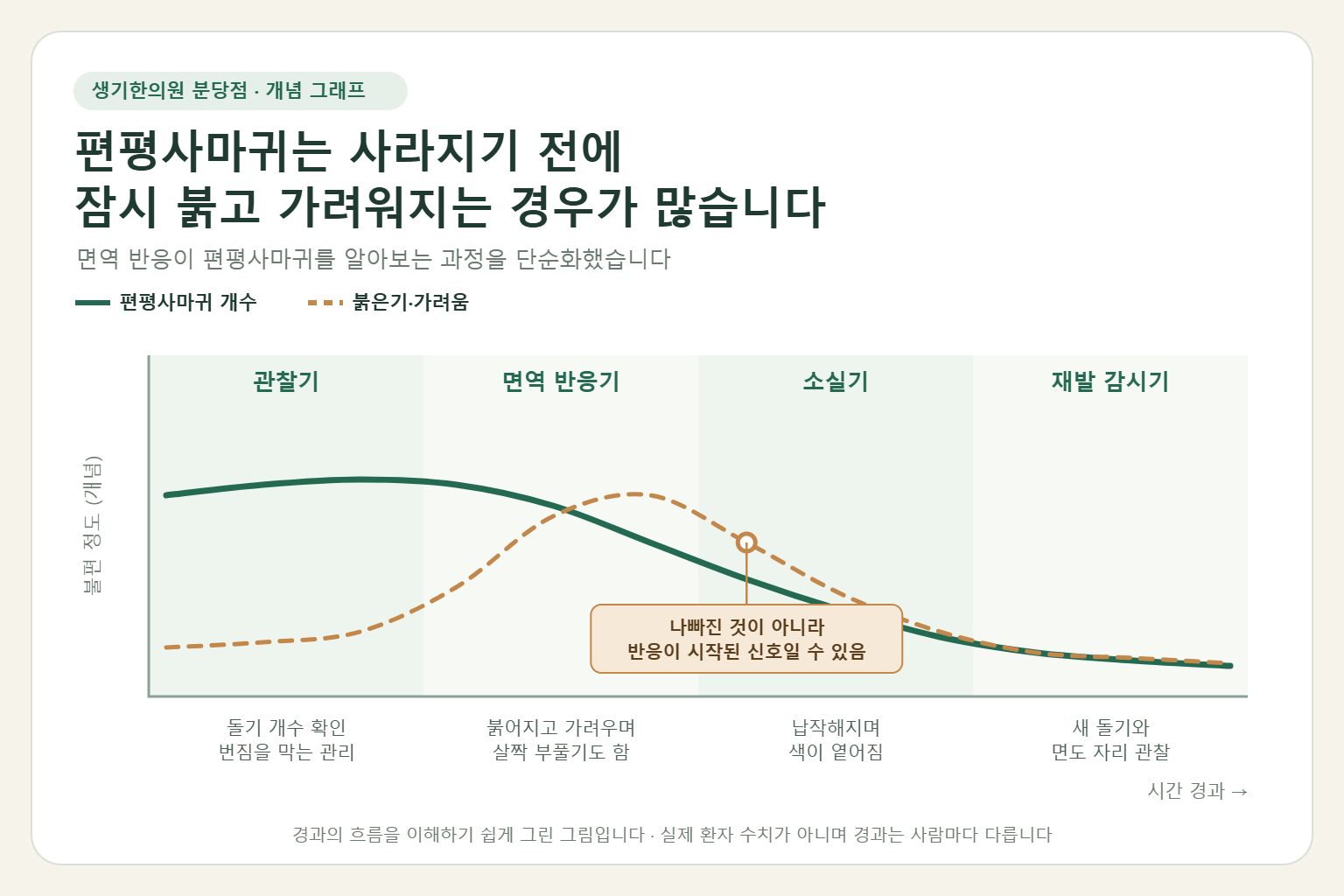 편평사마귀 치료 중 관찰기, 면역 반응기, 소실기, 재발 감시기에 따라 개수는 줄고 사라지기 전 일시적으로 붉은기와 가려움이 늘어나는 흐름을 보여 주는 개념 그래프