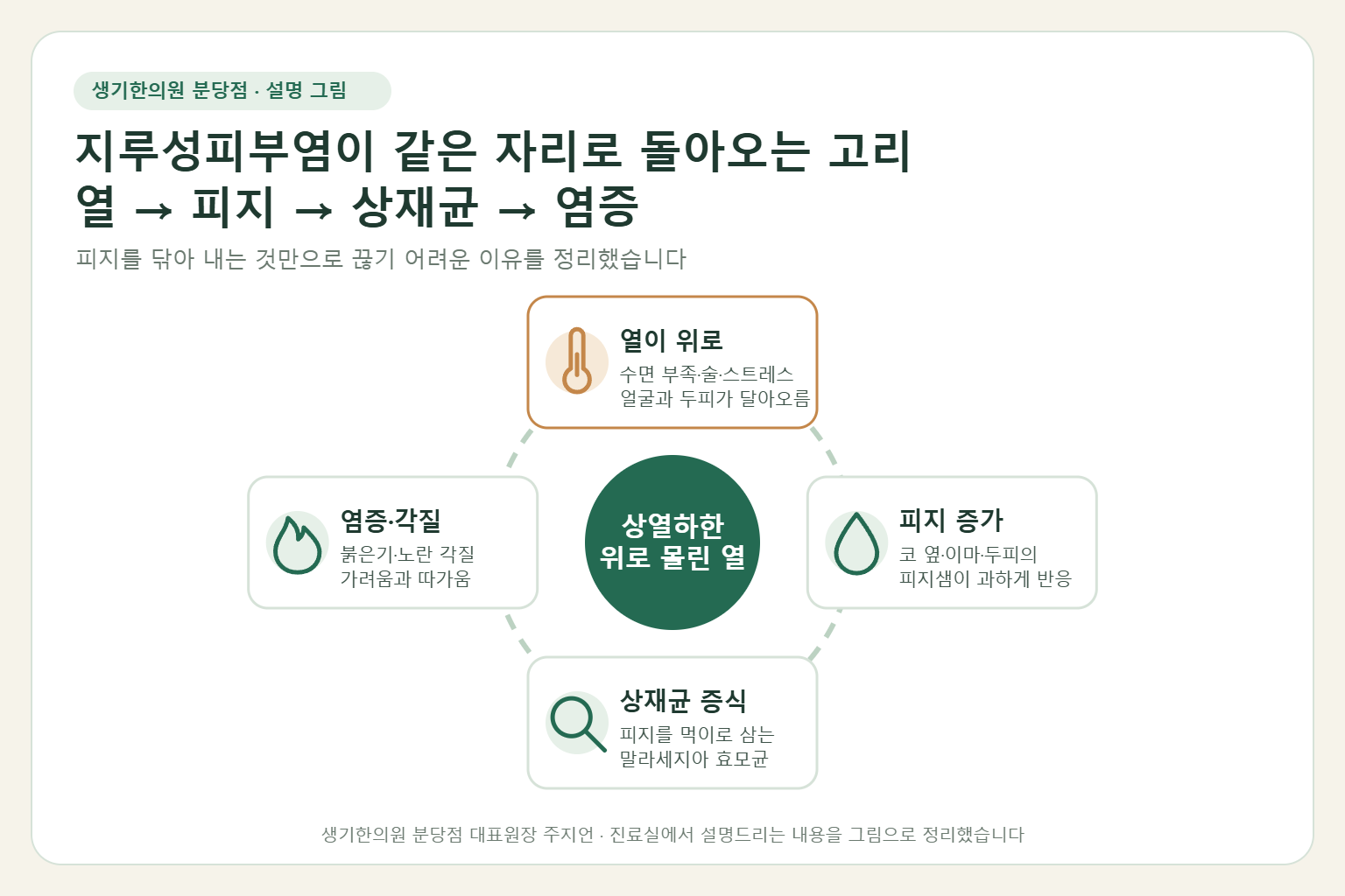 지루성피부염에서 위로 몰린 열이 피지 증가, 상재균 증식, 염증과 각질로 이어지며 반복되는 고리를 설명한 설명 그림