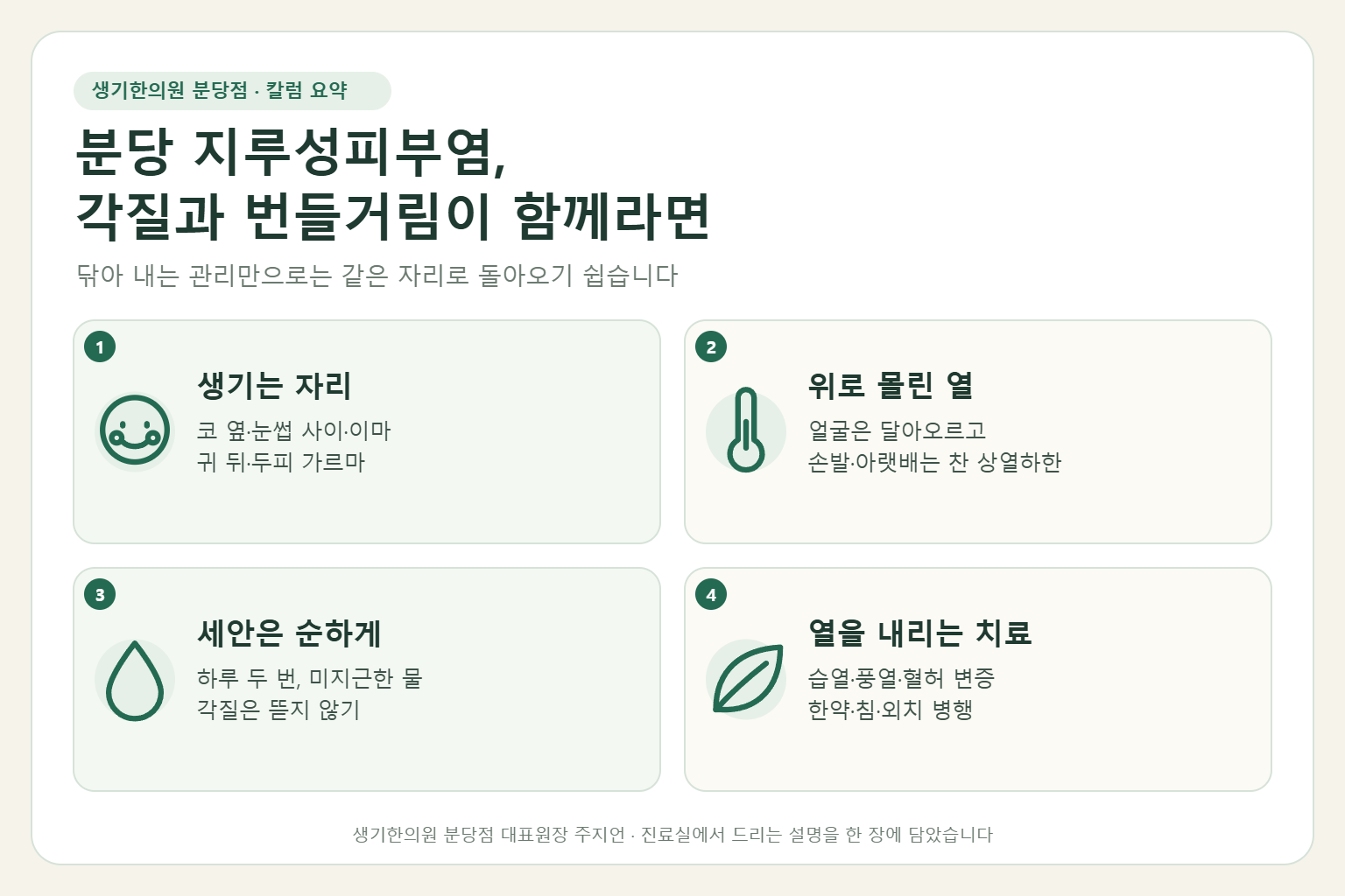 분당 지루성피부염에서 생기는 자리, 위로 몰린 열, 순한 세안, 열을 내리는 한의원 치료를 정리한 요약 그림