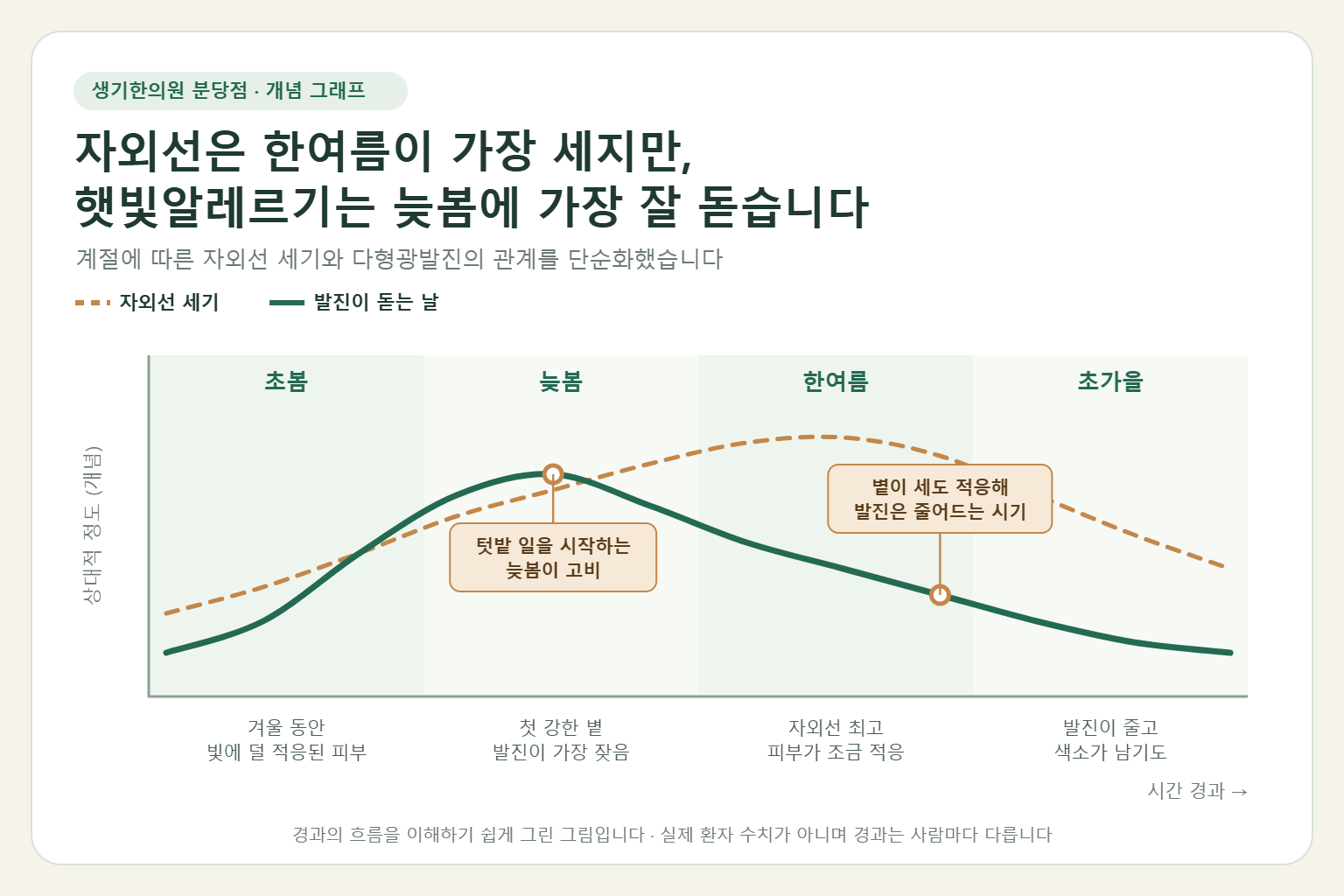 초봄부터 초가을까지 자외선 세기는 한여름에 가장 높지만 햇빛알레르기 발진은 늦봄에 가장 잦고 이후 피부가 적응하며 줄어드는 흐름을 보여 주는 개념 그래프
