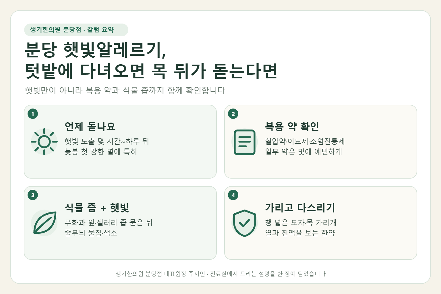 분당 햇빛알레르기에서 발진이 돋는 시기, 복용 약 확인, 식물 즙과 햇빛 반응, 가리기와 한약 치료를 정리한 요약 그림