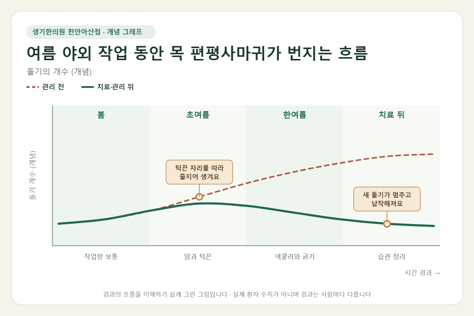 여름 야외 작업 동안 목 편평사마귀가 번지는 흐름과 치료 뒤 변화를 그린 개념 그래프