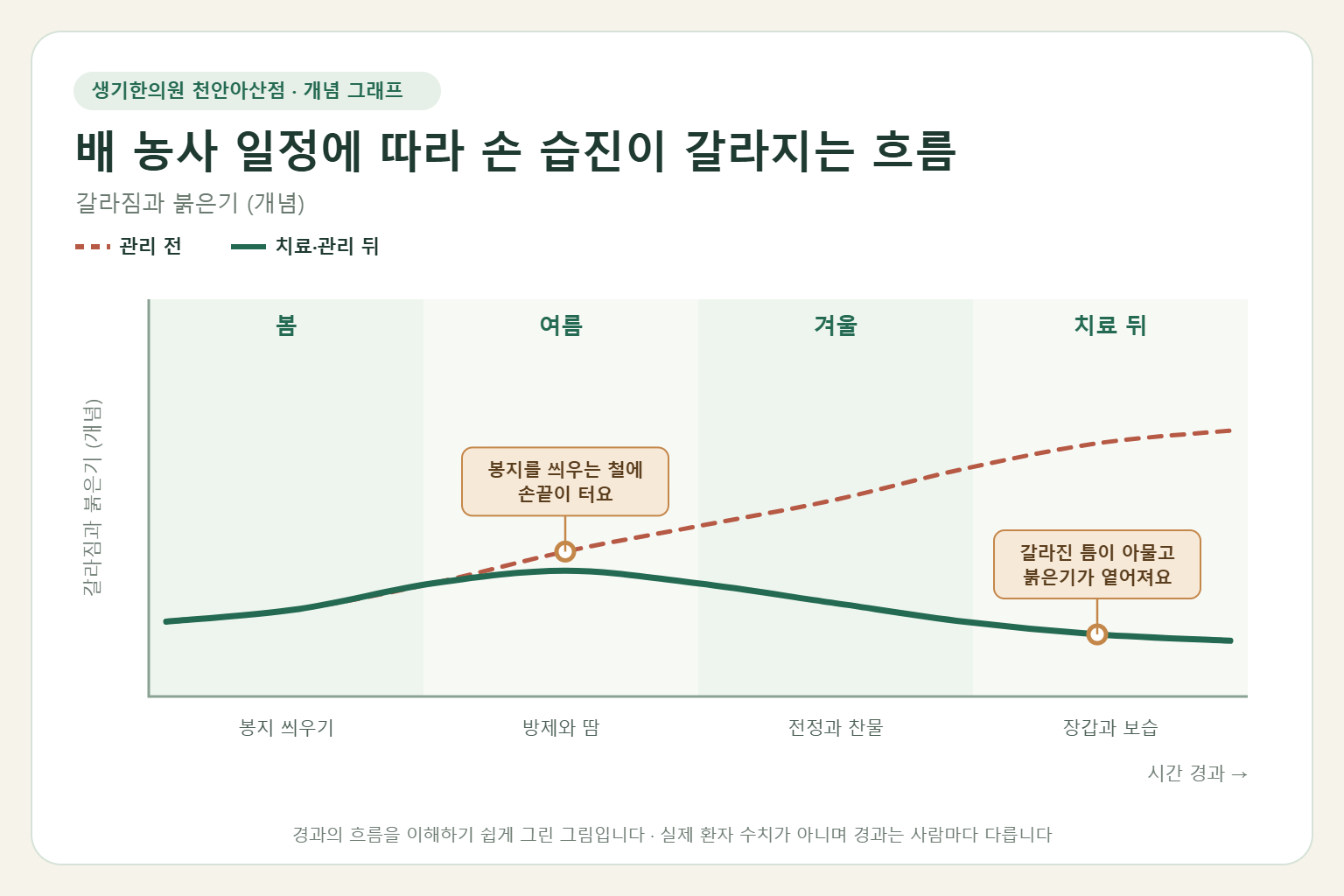 배 농사 일정에 따라 손 습진이 갈라지는 흐름과 치료 뒤 변화를 그린 개념 그래프