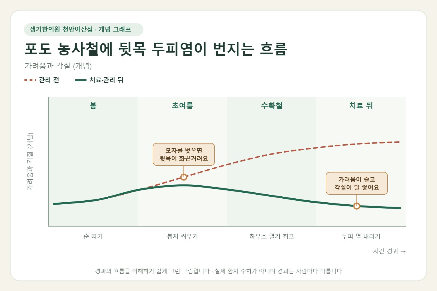 포도 농사철에 뒷목 두피염이 번지는 흐름과 치료 뒤 변화를 그린 개념 그래프