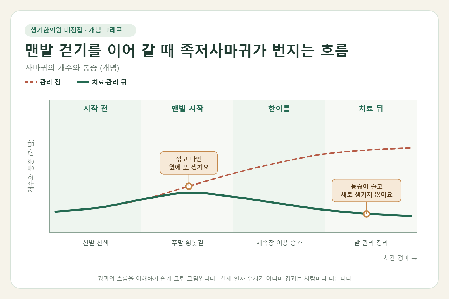 맨발 걷기를 이어 갈 때 족저사마귀가 번지는 흐름과 치료 뒤 변화를 그린 개념 그래프
