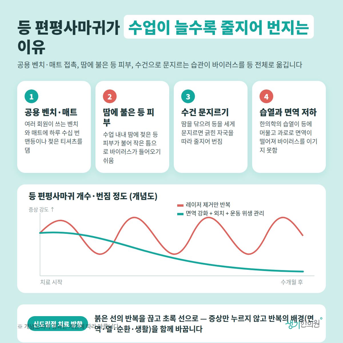 등 편평사마귀가 수업이 늘수록 줄지어 번지는 이유 — 공용 벤치·매트, 땀에 불은 등 피부, 수건 문지르기, 습열과 면역 저하 4가지와 치료 경과 개념 그래프