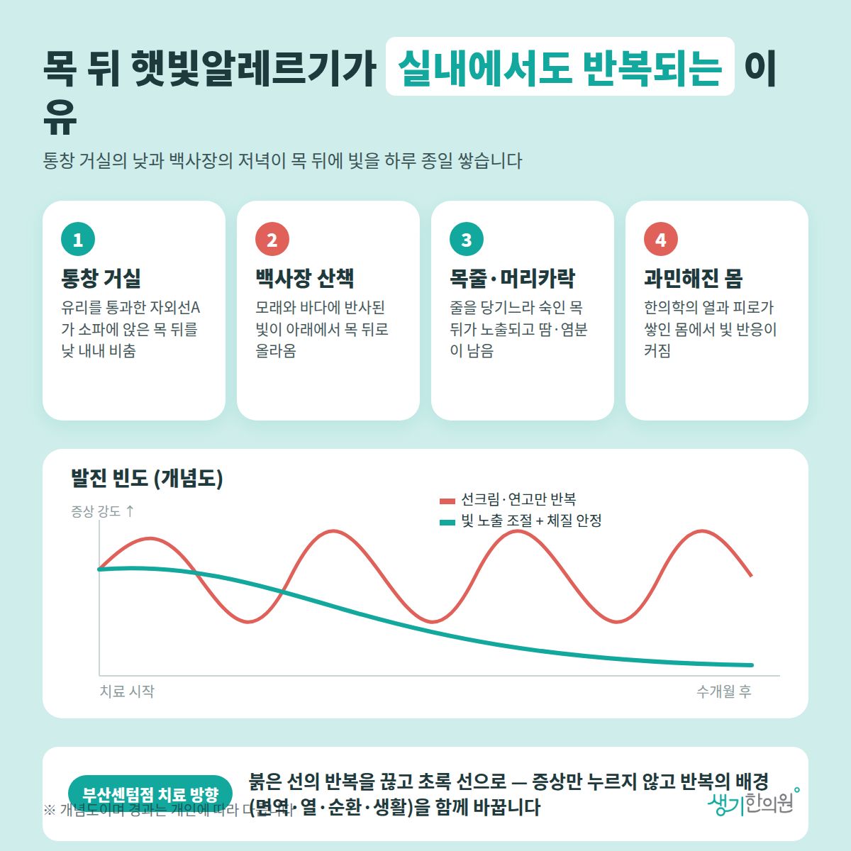 목 뒤 햇빛알레르기가 실내에서도 반복되는 이유 — 통창 거실, 백사장 산책, 목줄·머리카락, 과민해진 몸 4가지와 치료 경과 개념 그래프