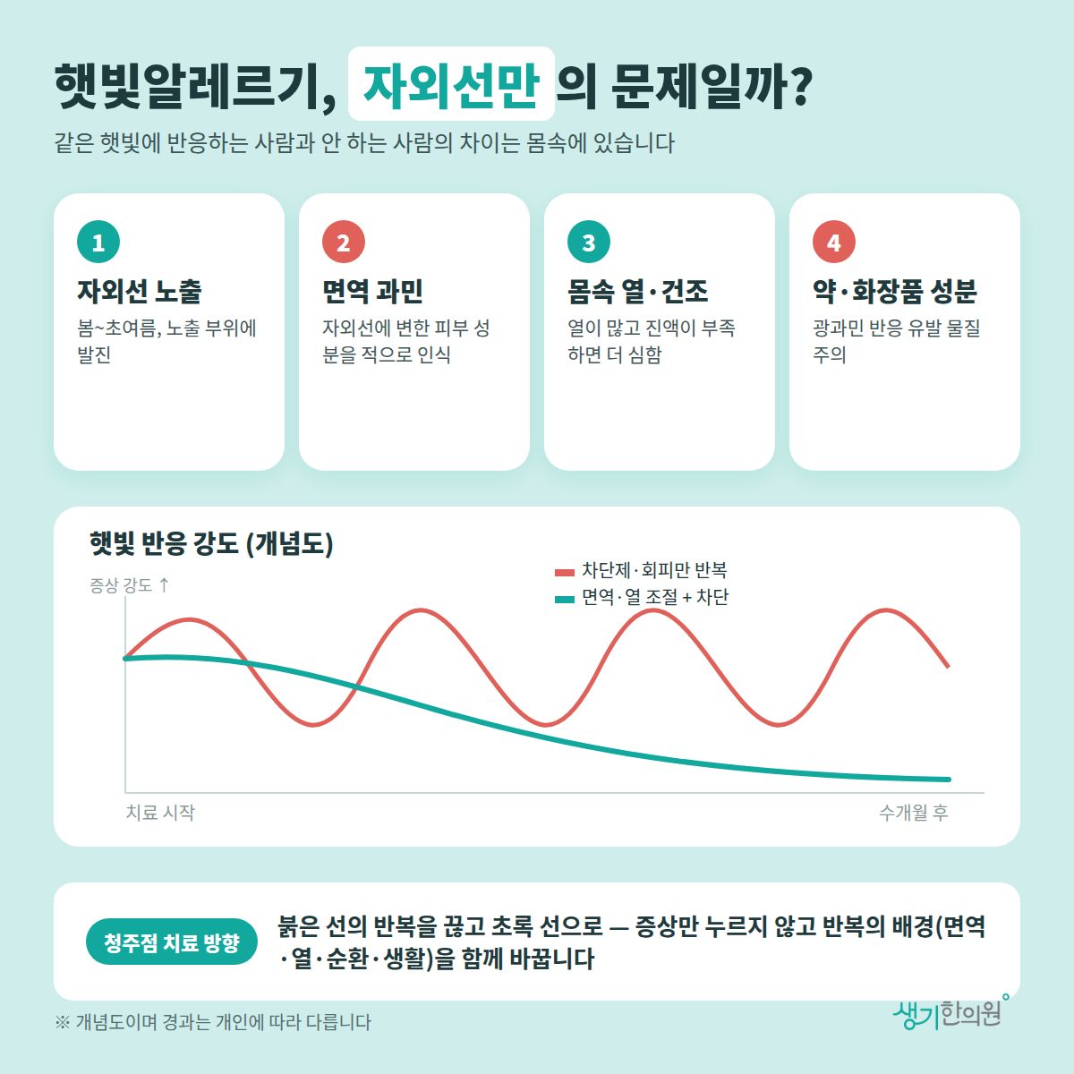 햇빛알레르기, 자외선만의 문제일까? — 자외선 노출, 면역 과민, 몸속 열·건조, 약·화장품 성분 4가지와 치료 경과 개념 그래프