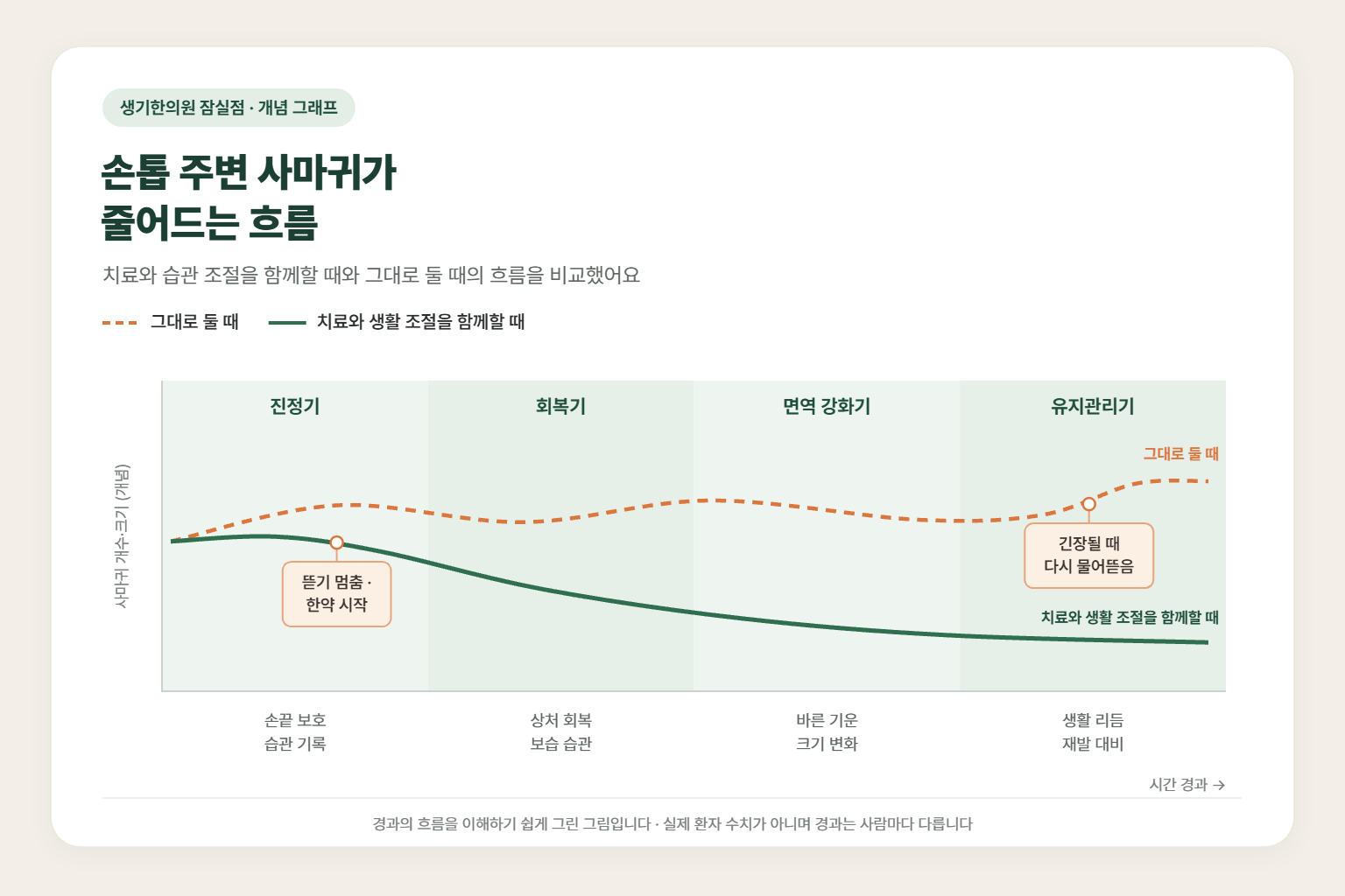 송파 사마귀 경과 개념 그래프 — 그대로 둘 때와 치료와 생활 조절을 함께할 때 사마귀 개수·크기의 흐름 비교