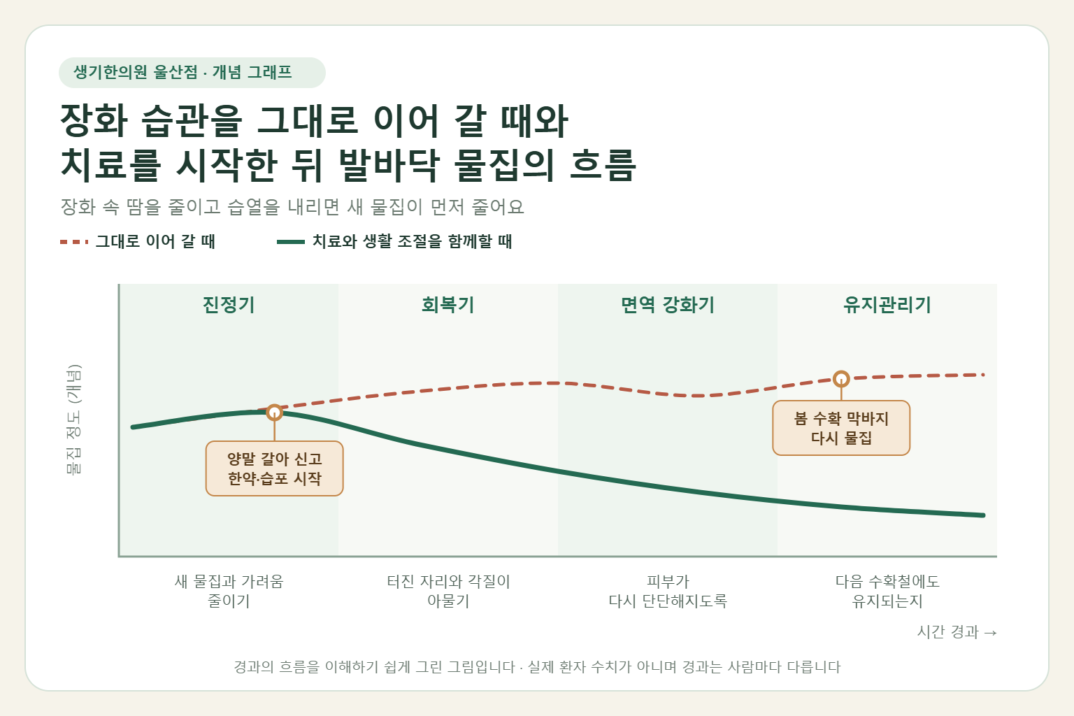 울산 한포진 경과 개념 그래프 — 장화 습관을 그대로 이어 갈 때와 한약 치료와 습포·드레싱을 함께할 때 발바닥 물집의 흐름 비교