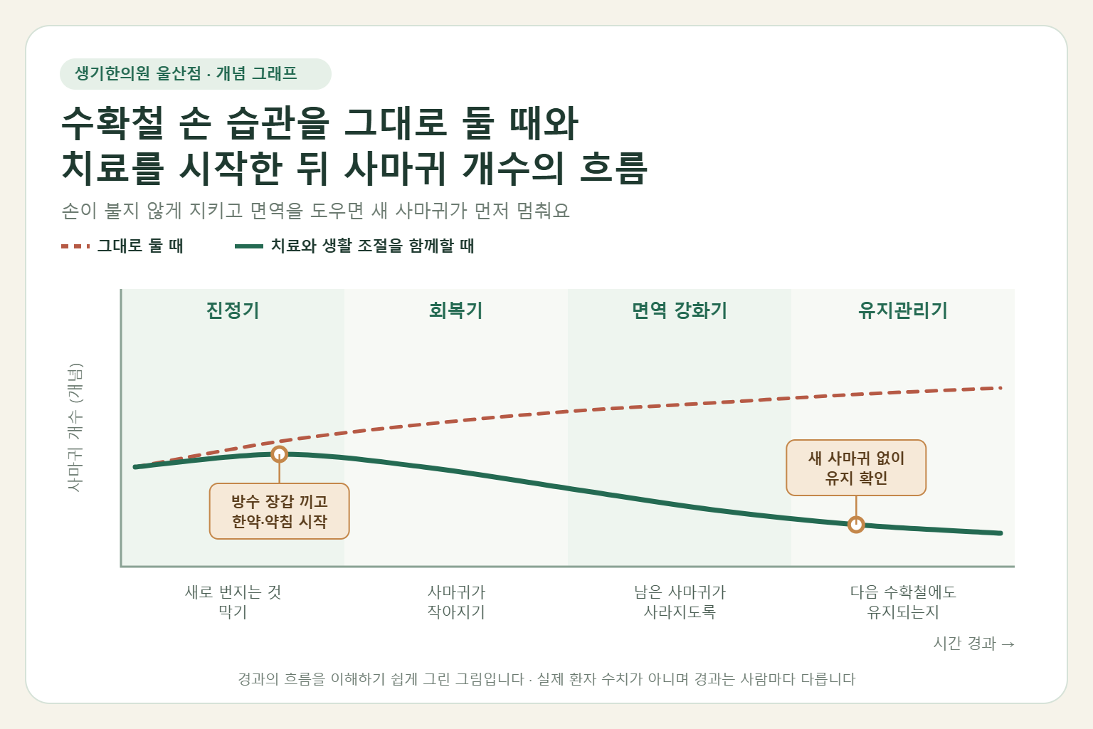 울산 사마귀 경과 개념 그래프 — 수확철 손 습관을 그대로 둘 때와 한약 치료와 약침을 함께할 때 사마귀 개수의 흐름 비교